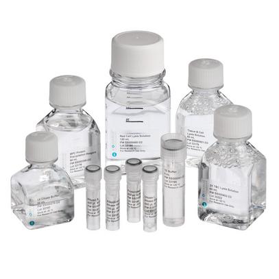 RNA Work Essentials | Molecular Biology Supplies for Ghana Universities ...
