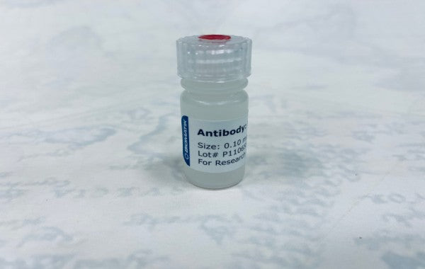 2 Weeks Mouse Polyclonal Antibody in Ghana - GRSC Store