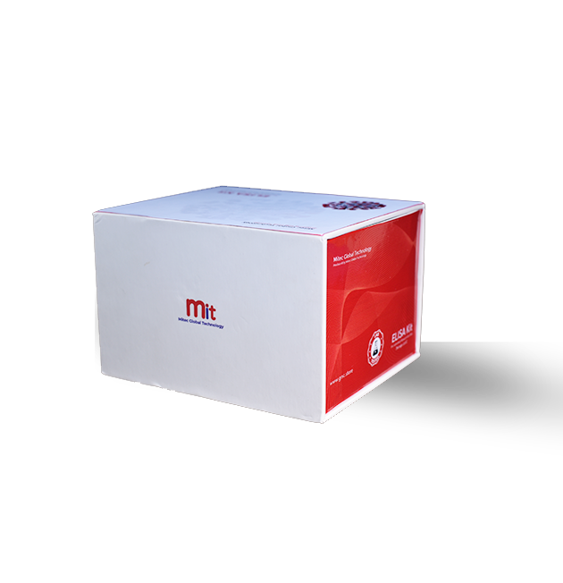 Canine Alpha-fetoprotein (AFP)ELISA kit