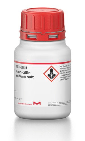 Ampicillin, Sodium Salt 25g in Ghana - GRSC Store
