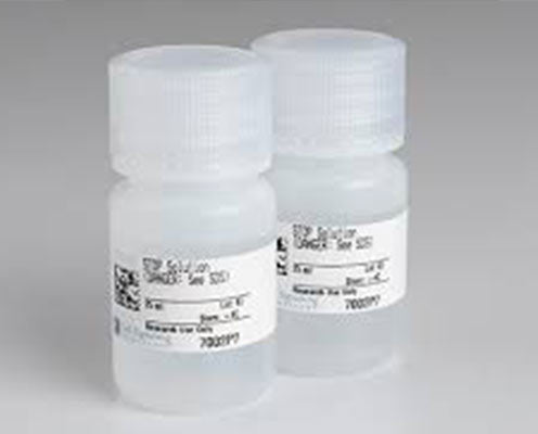 Canine B- cell Activation factor (BAFF)ELISA kit in Ghana - GRSC Store