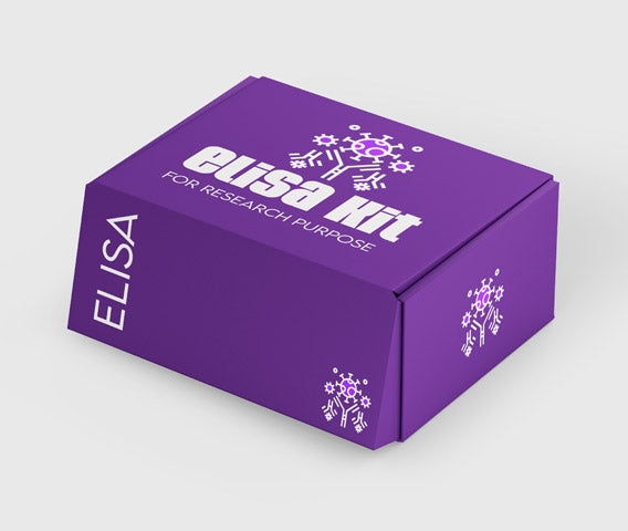 Canine beta-bone collagen cross-linking (Beta-CTX)ELISA kit