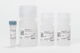Canine free thyroxine (FT4)ELISA kit in Ghana - GRSC Store