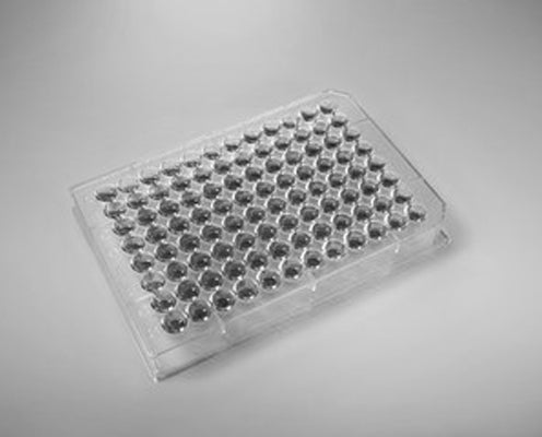 Canine interleukin 10(IL-10)ELISA kit in Ghana - GRSC Store