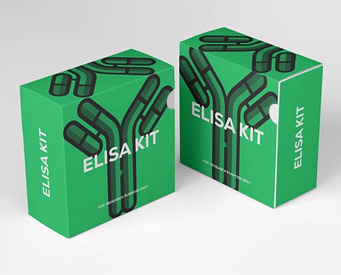 canine interleukin 18(IL-18)ELISA kit18 in Ghana - GRSC Store