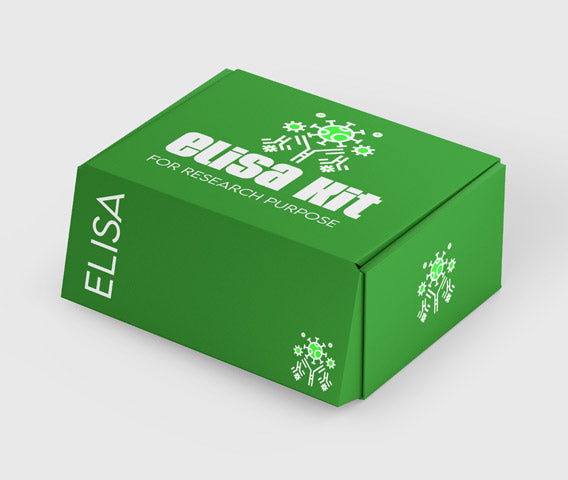 Canine Type I original glue N-terminal prepeptide (PINP)ELISA kit in Ghana - GRSC Store