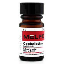 Cephalotin Sodium Salt 25mg in Ghana - GRSC Store