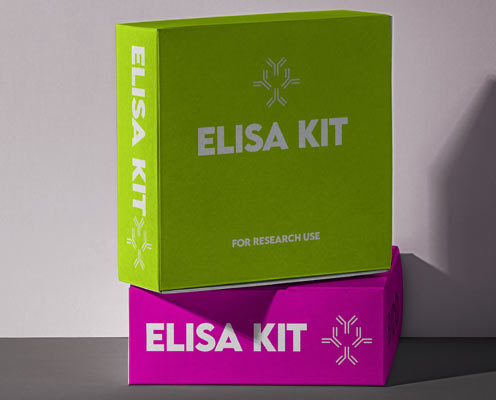 Human angiogenesis (ANG) ELISA kit in Ghana - GRSC Store