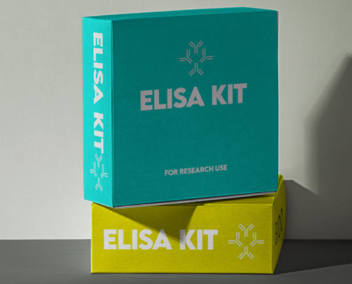 Human angiotensin converting enzyme (ACE) ELISA kit in Ghana - GRSC Store