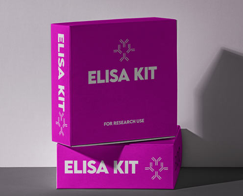 Human basic fibroblast growth factor 4 (BFGF-4) ELISA kit in Ghana - GRSC Store