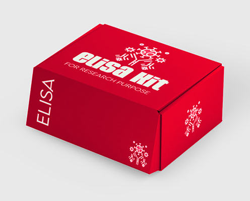 Human E Selectin/CD62E ELISA kit in Ghana - GRSC Store