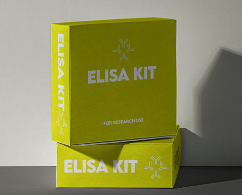 Human gamma interferon gamma (IFN-gamma) ELISA kit in Ghana - GRSC Store