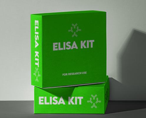 Human insulin-like growth factor binding protein 1 (IGFBP-1) ELISA kit in Ghana - GRSC Store