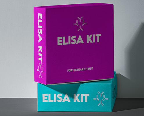 Human Interleukin 11 (IL-11) ELISA kit in Ghana - GRSC Store