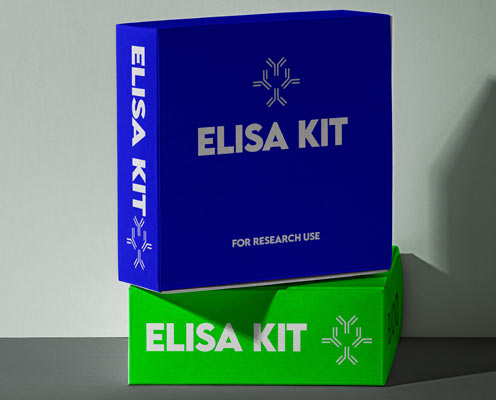 Human Interleukin 13 (IL-13) ELISA kit in Ghana - GRSC Store