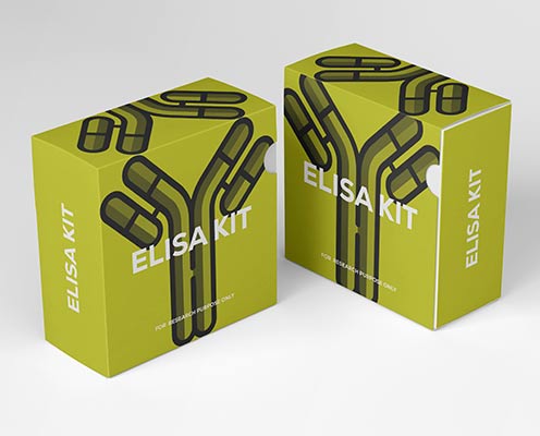 Human matrix metalloproteinase 3 (MMP-3) ELISA kit in Ghana - GRSC Store