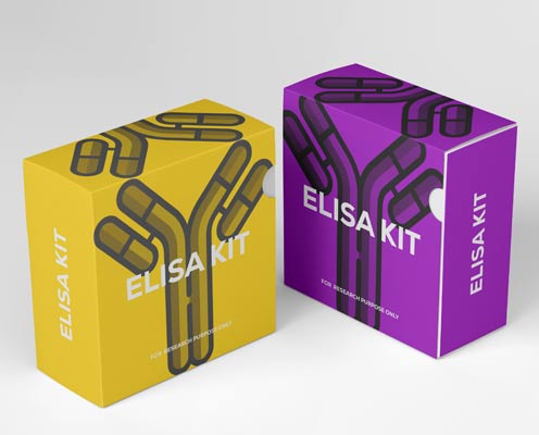 Human normal T cell expression and secretion factor (RANTES/CCL5) ELISA kit in Ghana - GRSC Store