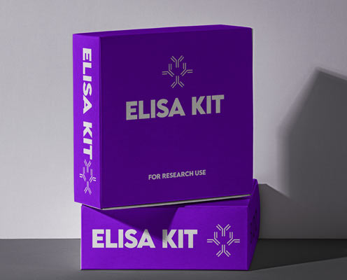 Human P Selectin/CD62P ELISA kit in Ghana - GRSC Store