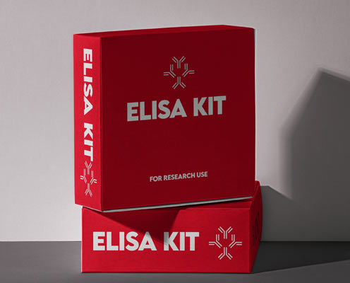 Human transforming growth factor beta-1 (TGF-beta1) ELISA kit in Ghana - GRSC Store