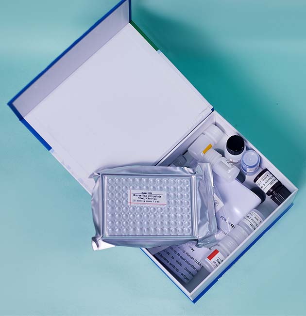 Human tumor necrosis factor alpha ELISA kit in Ghana - GRSC Store