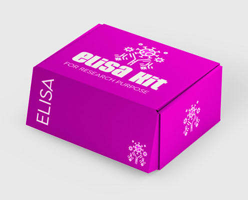 Human vascular endothelial cell adhesion Molecule-1 (VCAM-1/CD106) ELISA kit in Ghana - GRSC Store