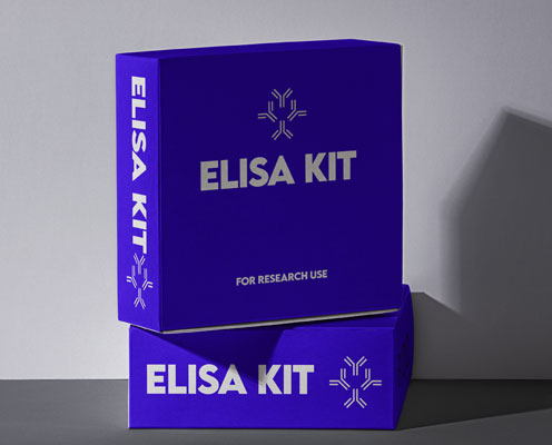 Human vascular endothelial growth factor C (VEGF-C) ELISA kit in Ghana - GRSC Store