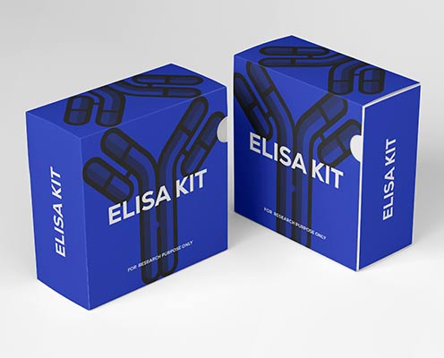 Human vascular endothelial Growth Factor Receptor 3 (VEGFR-3) ELISA kit in Ghana - GRSC Store