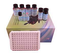 Human Vitamin C ELISA Test kit in Ghana - GRSC Store