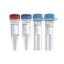 pTOPO-Blunt Cloning Kit