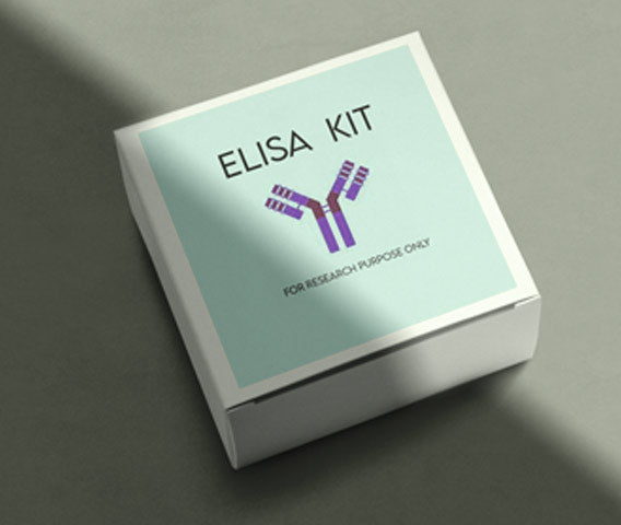 Mouse acid fibroblast growth factor 1 (AGFG-1) ELISA kit in Ghana - GRSC Store