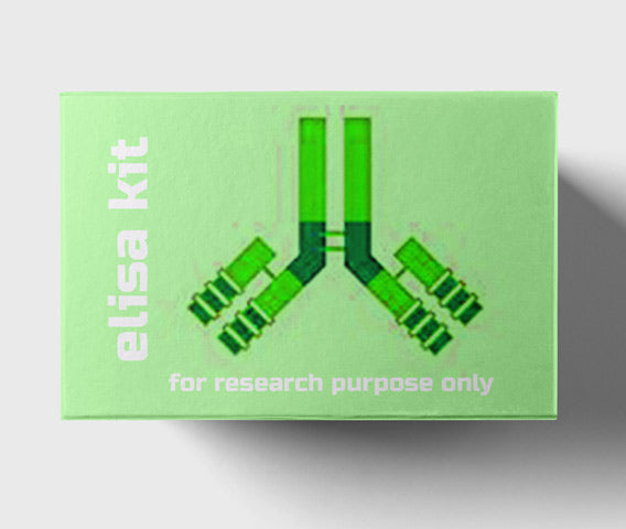 Mouse angiogenin 1 (Ang-1) ELISA kit in Ghana - GRSC Store