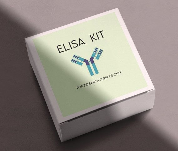 Mouse angiogenin 2(Ang-2) ELISA kit in Ghana - GRSC Store