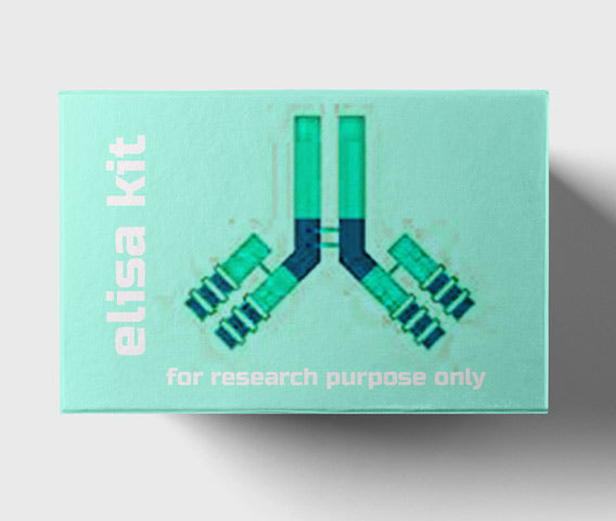 Mouse basic fibroblast growth factor 9(BFGF-9) ELISA kit in Ghana - GRSC Store