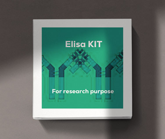 Mouse glial cell line derived neurotrophic factor (GDNF) ELISA kit in Ghana - GRSC Store