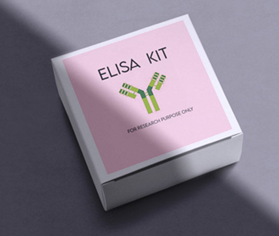 Mouse interferon-beta ELISA kit in Ghana - GRSC Store