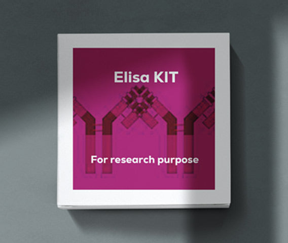 Mouse interleukin 8 (IL-8) ELISA kit in Ghana - GRSC Store