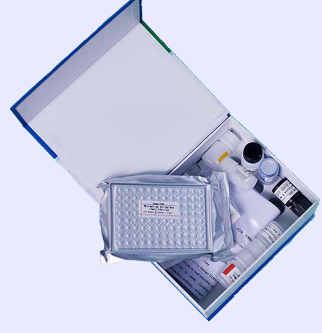 Mouse soluble platelet endothelial cell adhesion Molecule-1 (SPECAM-1 /sCD31)ELISA kit in Ghana - GRSC Store