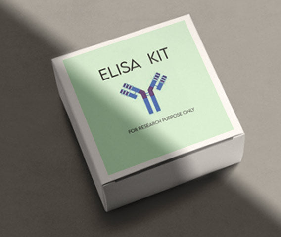 Mouse urokinase-type plasminogen activator (uPA) ELISA kit in Ghana - GRSC Store