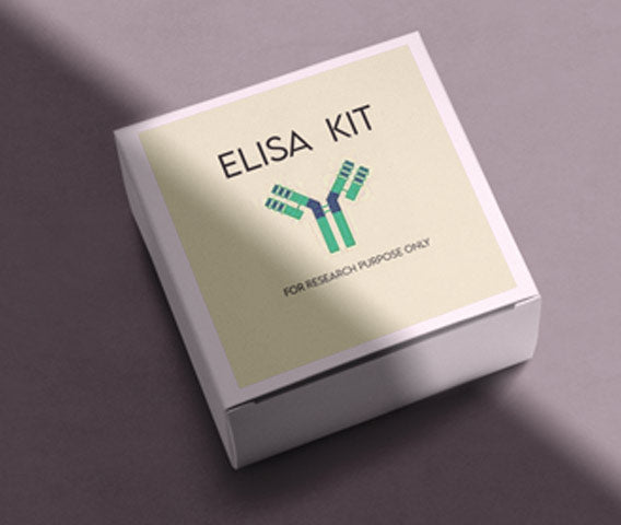 Mouse vascular endothelial growth factor receptor 2 (VEGFR-2) ELISA kit in Ghana - GRSC Store