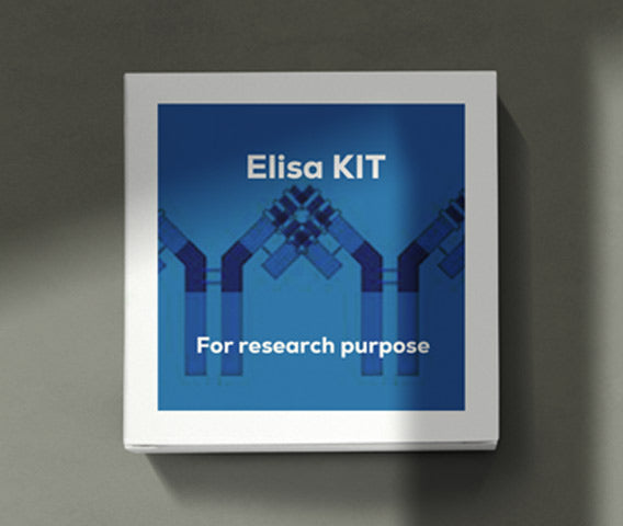 Mouse vascular endothelial growth factor receptor ( VEGF) ELISA kit in Ghana - GRSC Store