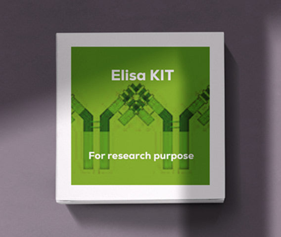 Mouse vasculas endohelial growth factor receptor 1 (VEGFR-1) ELISA kit in Ghana - GRSC Store