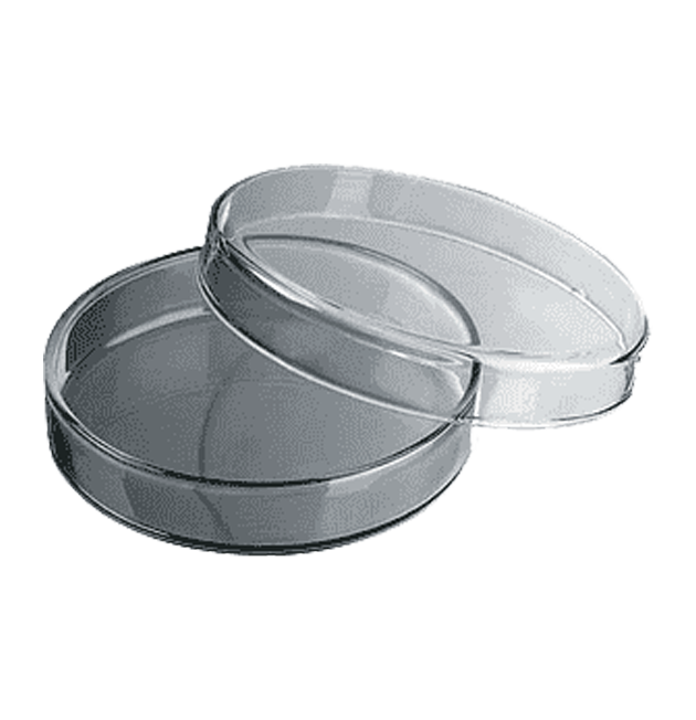 Petri dishes in Ghana - GRSC Store